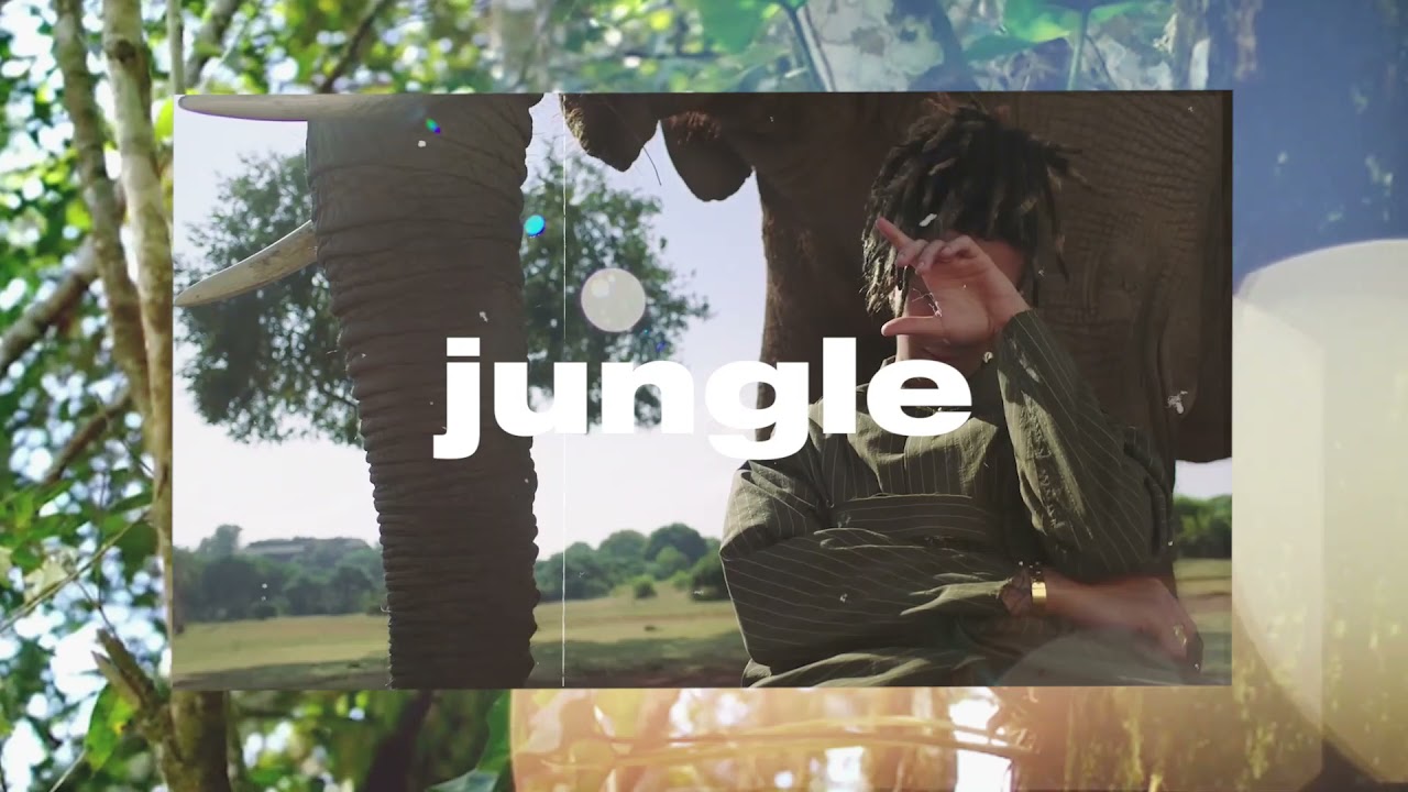 - j u n g l e  I -  [ s o l d ]