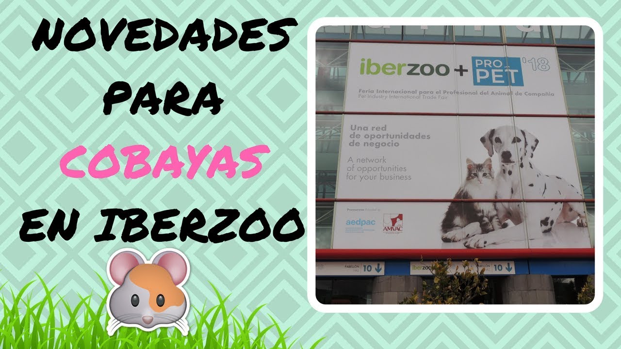 NOVEDADES PARA COBAYAS, CONEJOS Y ROEDORES | Phoebe y Equis Cobayas