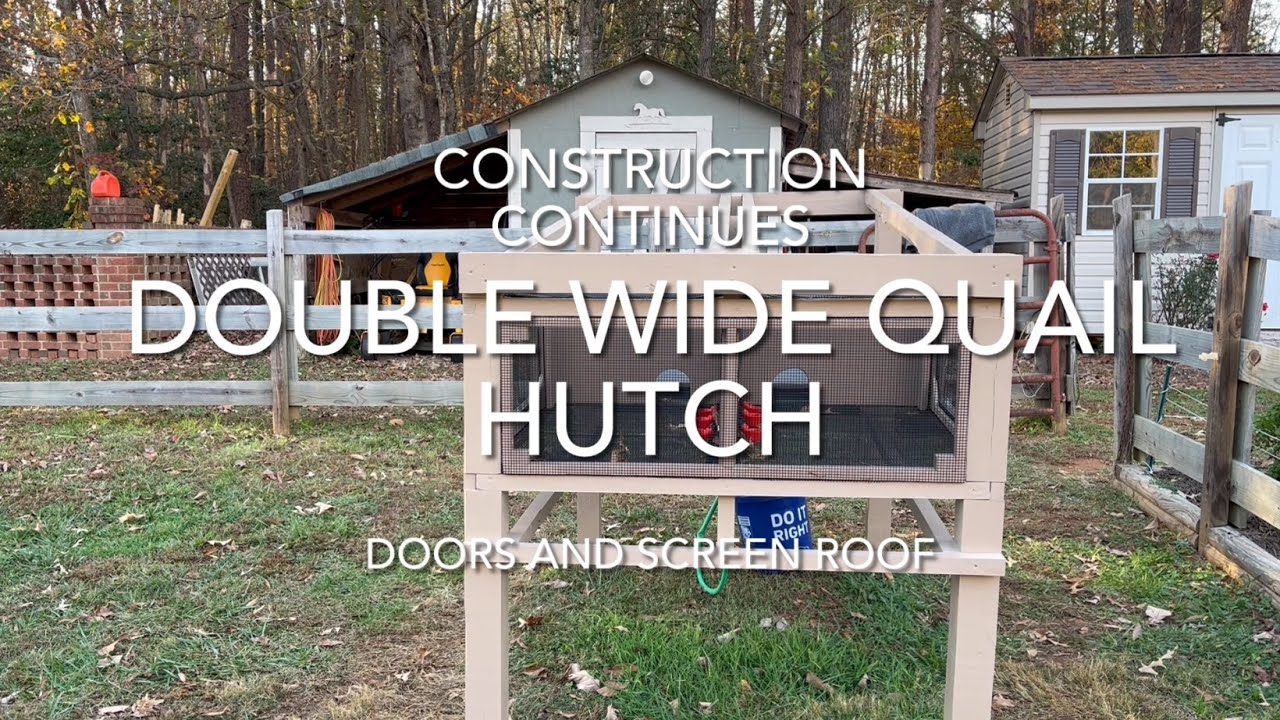 Double Wide Quail Hutch: Door and Screen Roof