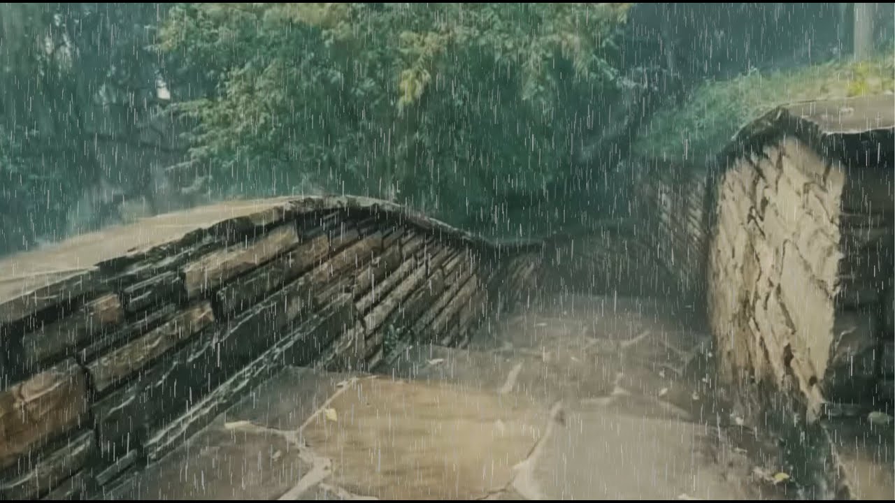 Forest Thunderstorm for Sleep &ndash; Heavy Rain Sounds to Beat Insomnia