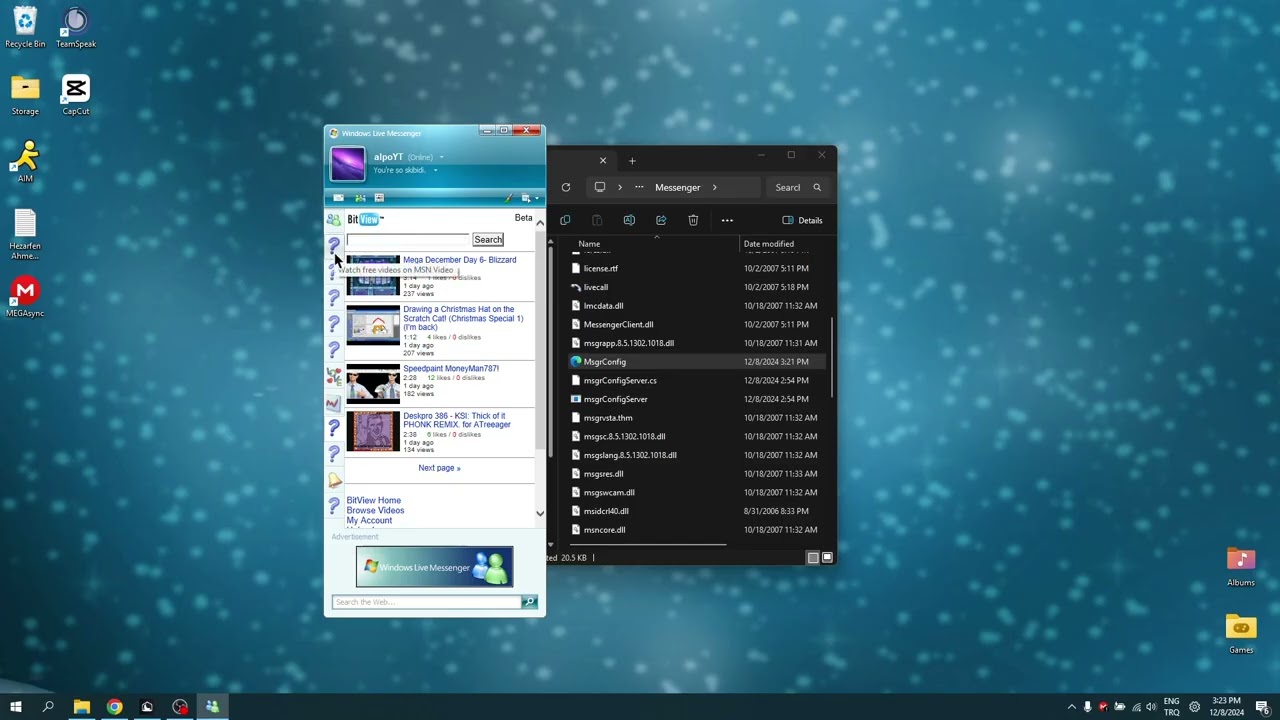 Adding BitView as a tab on WLM' 08 😀