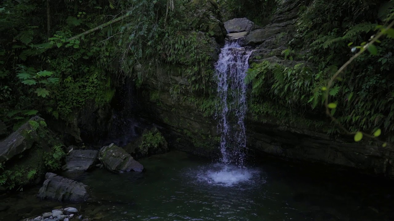 Ruta a la Cascada en El Yunque