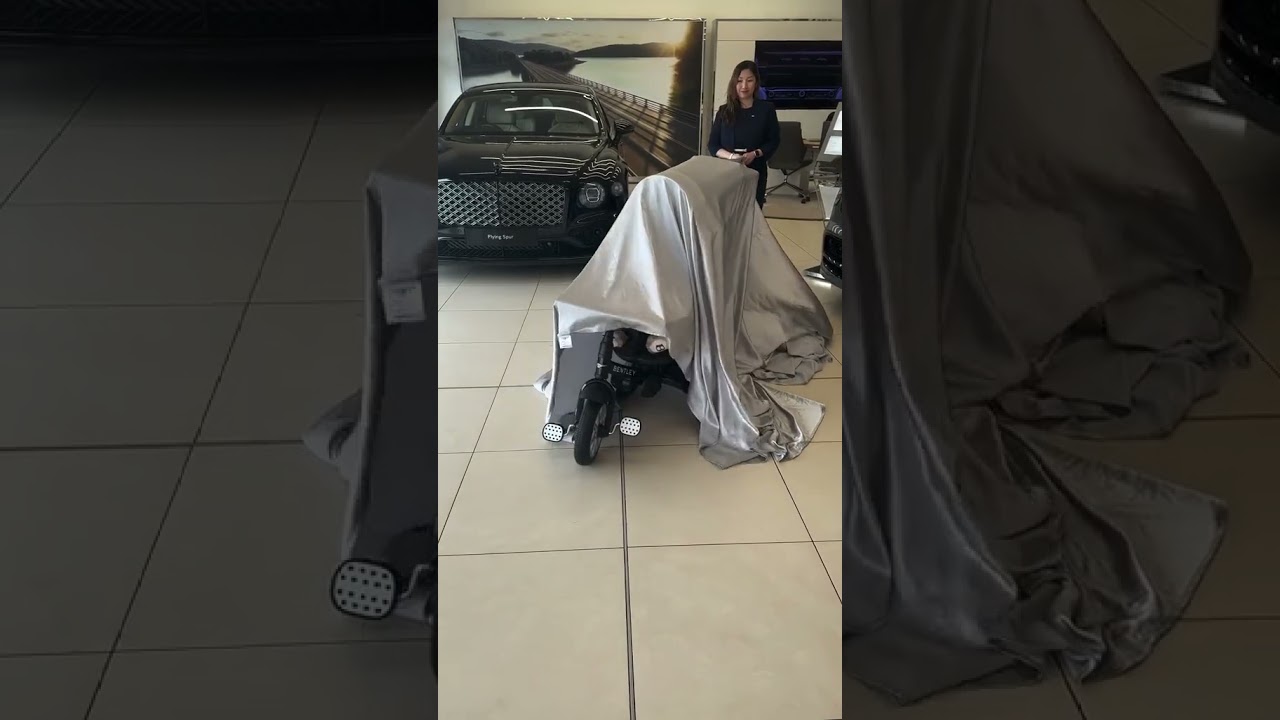 The most luxurious stroller on the market #shorts #bentleytrike #stroller #trike #baby #toddler