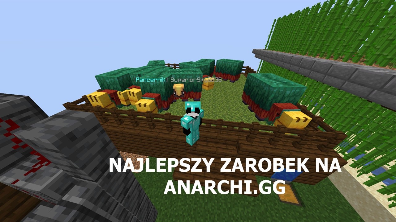 3 NAJLEPSZE SPOSOBY NA ZAROBEK NA ANARCHI.GG