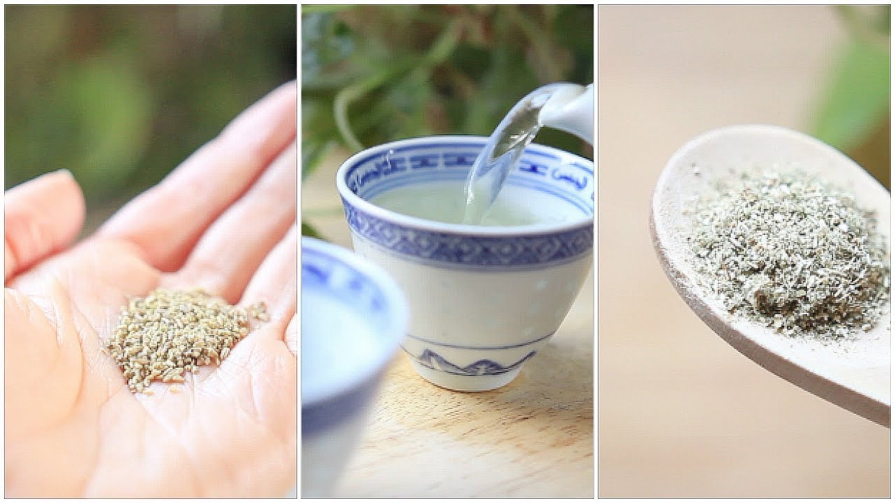 THE TOP 5 BEST HERBS For Digestion & IBS 🌿