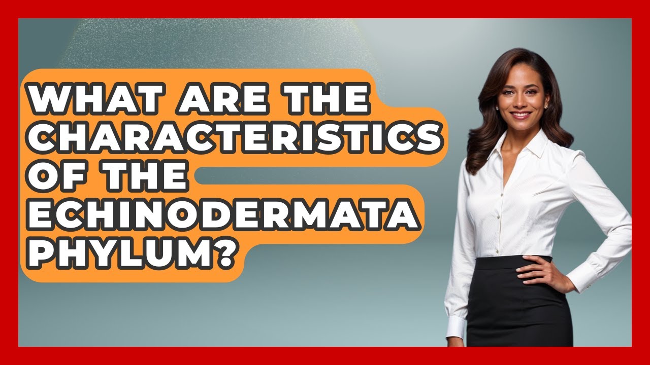 What Are The Characteristics Of The Echinodermata Phylum? - The Marine Life Explorer