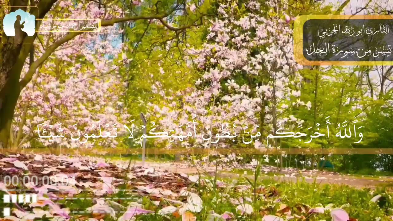 استمع إلى التلاوة الهادئة بصوت القارئ أبو زيد الحربي.... سورة النحل