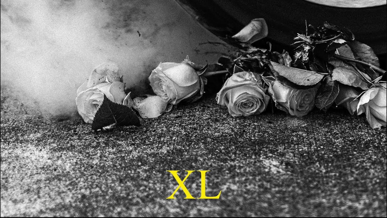 Highly Suspect - Yellow Roses XL [Official Audio]