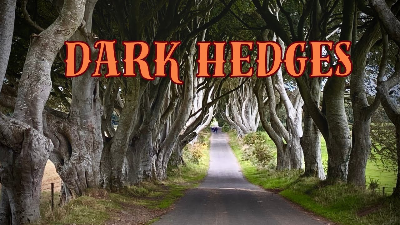 The Dark Hedges, Northern Ireland