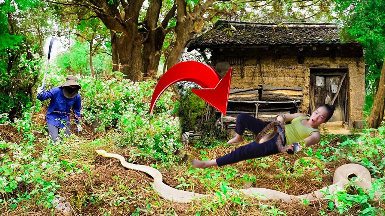Dangerous Cleanup: Restore an Abandoned House Attacked by a SNAKE - Cleaning & Mowing |Clean Up 94
