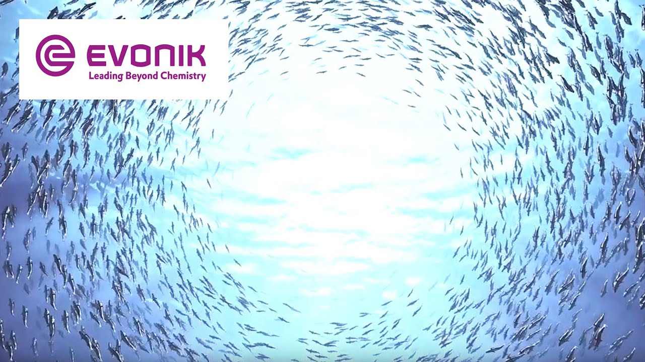 Evonik in three minutes | Evonik