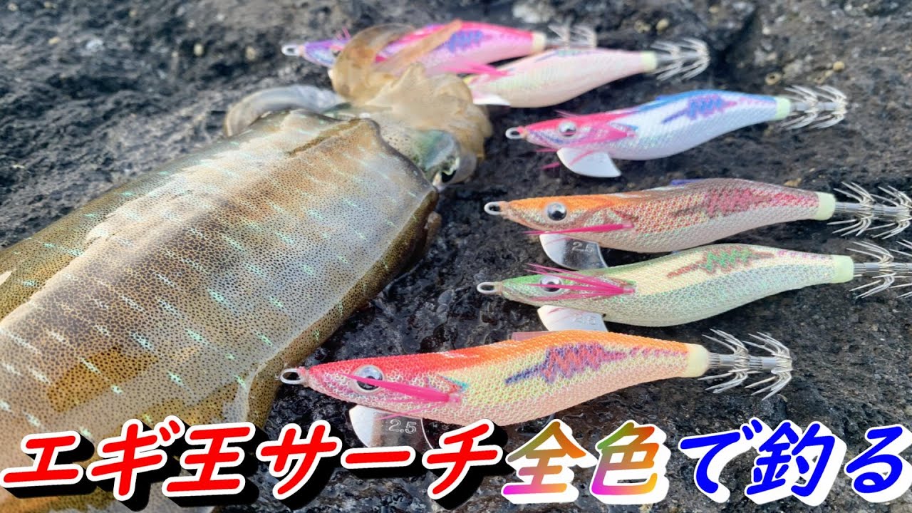 Рыбалка на Noto Bigfin Reef Squid Egi Fishing началась! Я использовал все цвета Egi King Search, ...