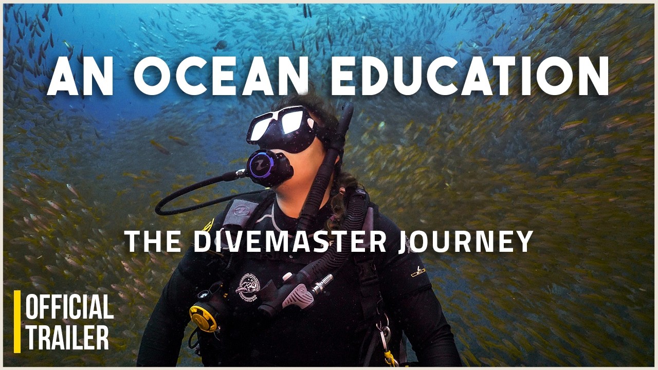 AN OCEAN EDUCATION: The Divemaster Journey | OFFICIAL TRAILER |