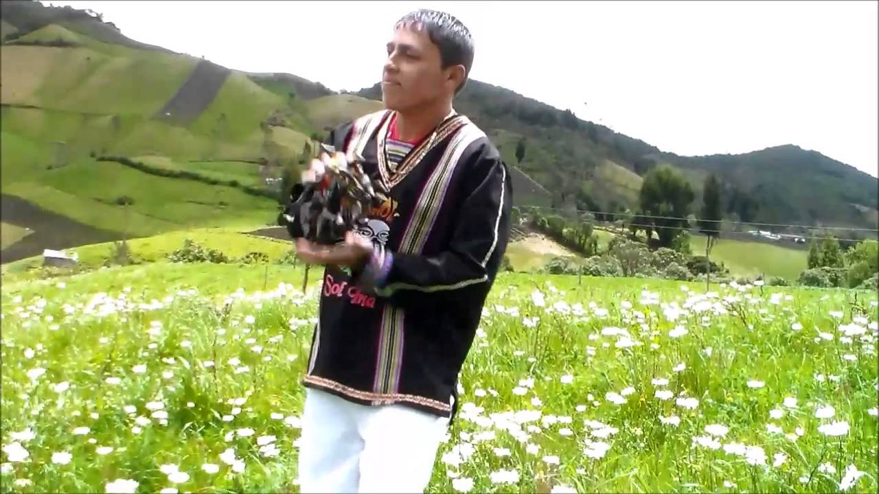 El Borrachero
