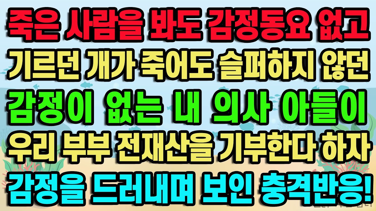 [실화사연] 죽은 사람을 봐도 감정동요 없고 기르던 개가 죽어도 슬퍼하지 않던 감정이 없는 내 의사 아들이 우리 부부가 전재산을 기부한다 하자 감정을 드러내며 보인 충격반응!