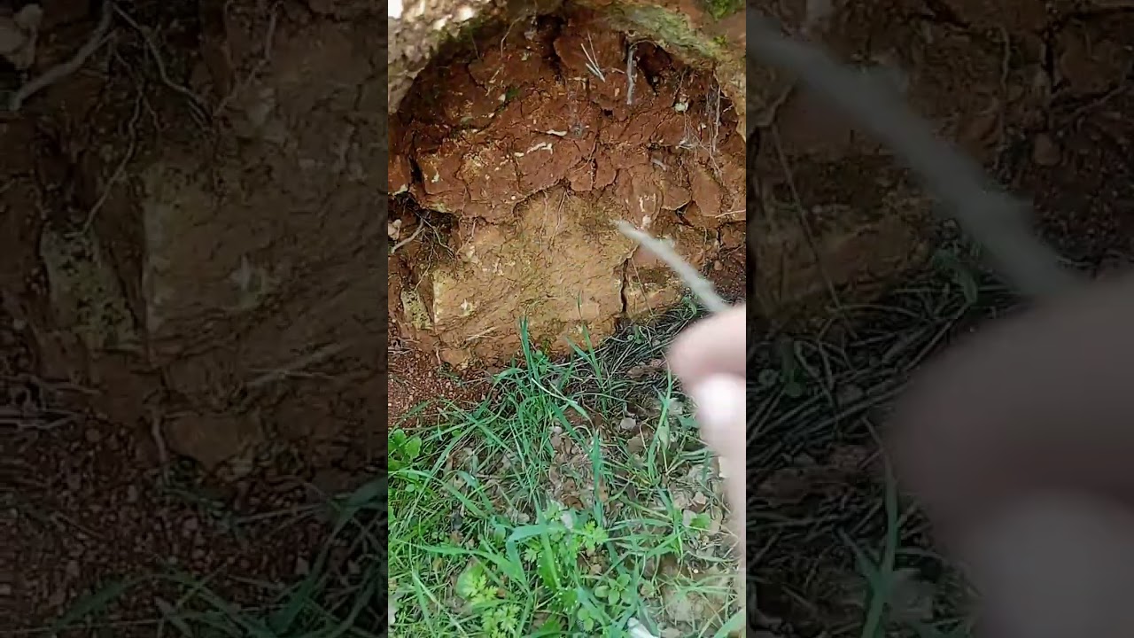 اشاره الخان الرومان يدل على وجود دفائن 