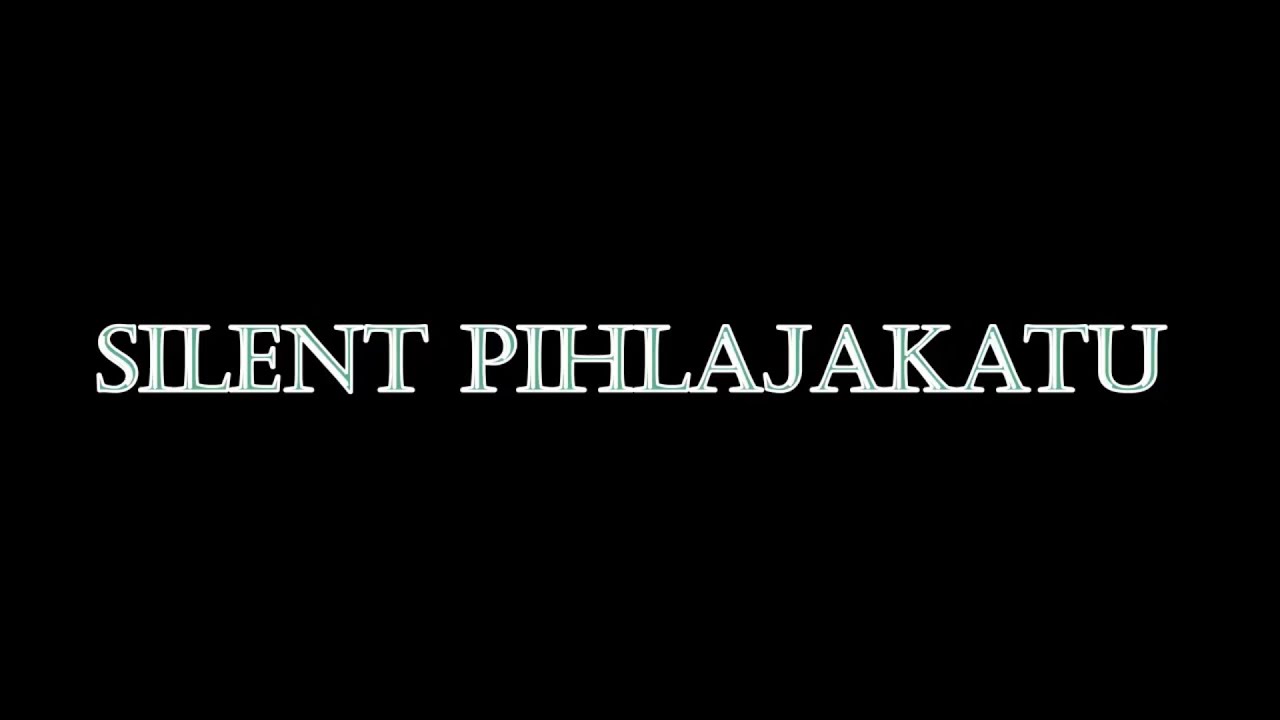 Silent Pihlajakatu