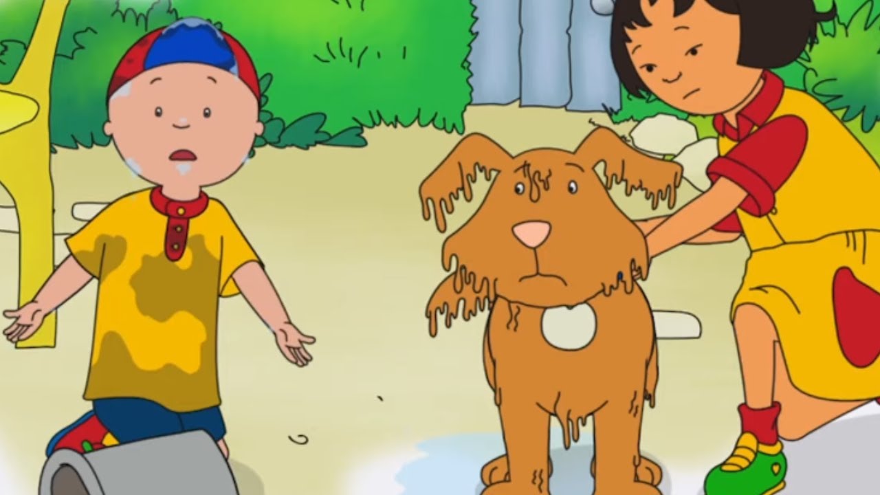 De hond van Sarah Schoonmaken | Caillou Nederlands - WildBrain