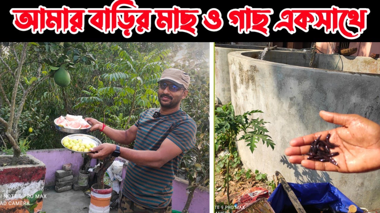 আপনাদের অনেকের কথা মত আজ আমার বাড়ি থেকে ছোট্ট একটি আপডেট ❤️