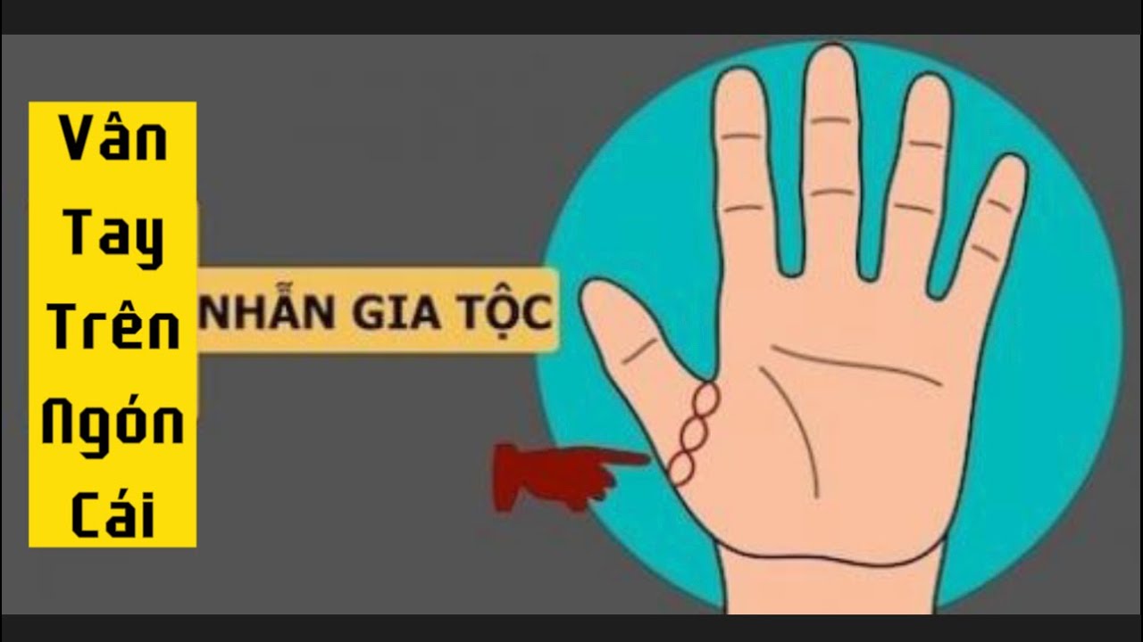 Bí ẩn về Nhẫn Gia Tộc, Vân Tay Ngón Cái và Kẻ Hở Bàn Chân