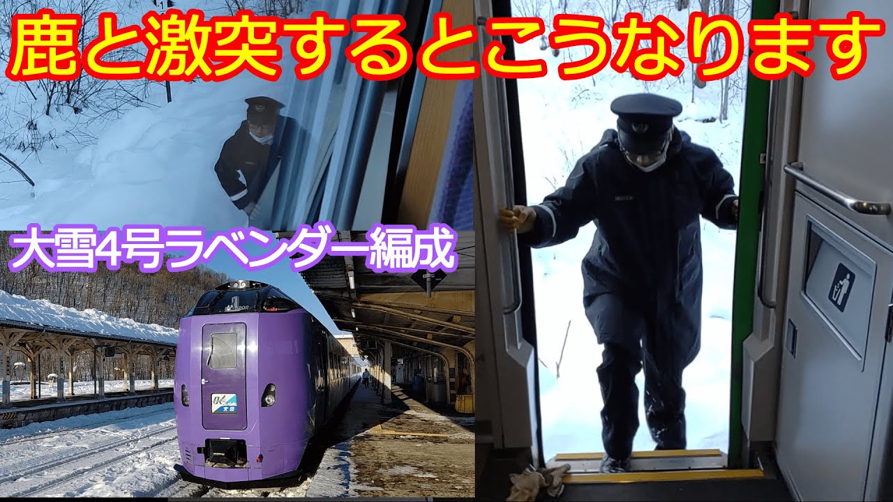 【大雪4号ラベンダー編成シカと激突】事故処理に密着しました