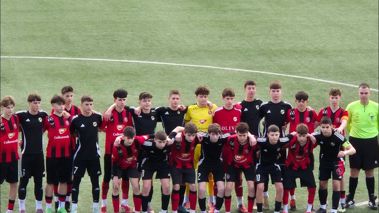Fk Čukarički 2011- Fk Csikszereda Romania 2011