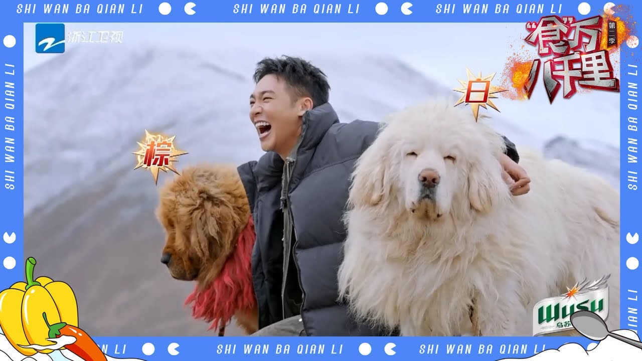 藏獒都不配合伍嘉成拍照！重新诠释犬系男友！ #食万八千里2 EP3 CLIP