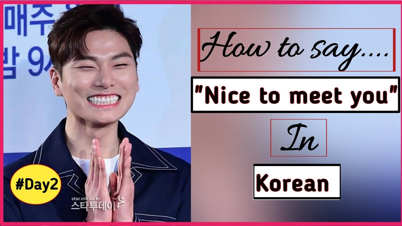NICE TO MEET YOU in Korean🇰🇷 | Korean Guideline