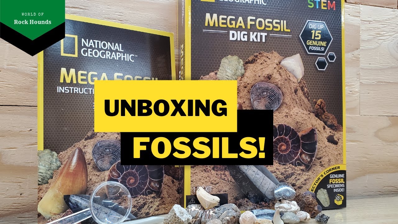 РАСПАКОВКА: Набор для раскопок Nat-Geo Mega Fossil