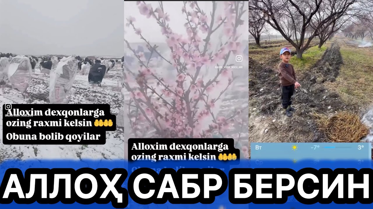 ИЛТИМОС ДУО ВИЛИНГ АЛЛОХ САБР БЕРСИН