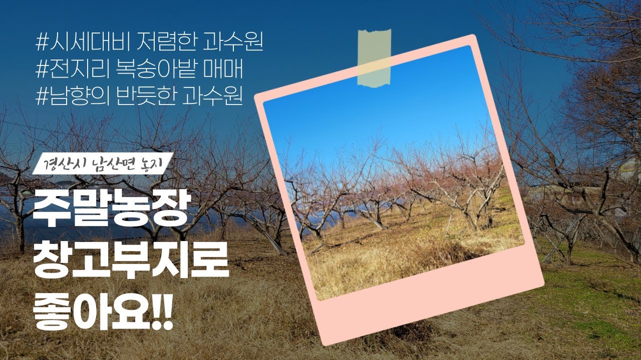 핫한 경산시 남산면 농지 / 농사용 창고 부지로 좋아요 / 경산시 인근 주말농장