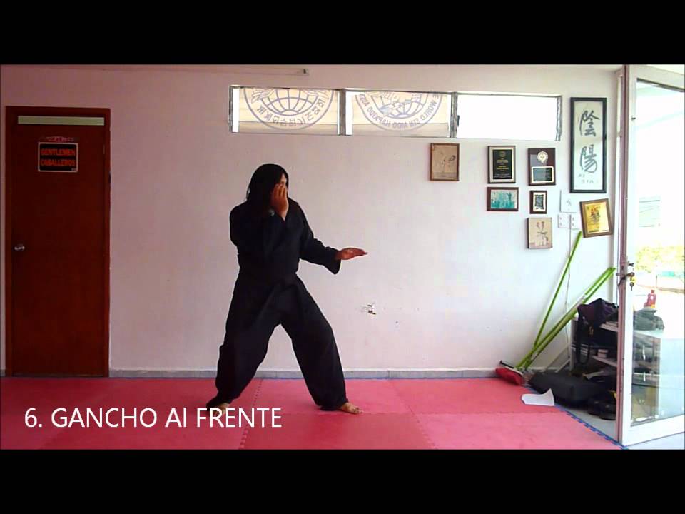 Maya Hapkido - Patadas Basicas, grupo A