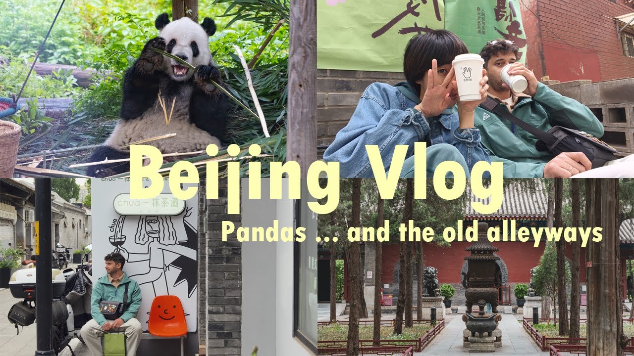 Beijing Vlog | pandas in the zoo, traditional food , coffee shops, temple, hotpot, old alleyways