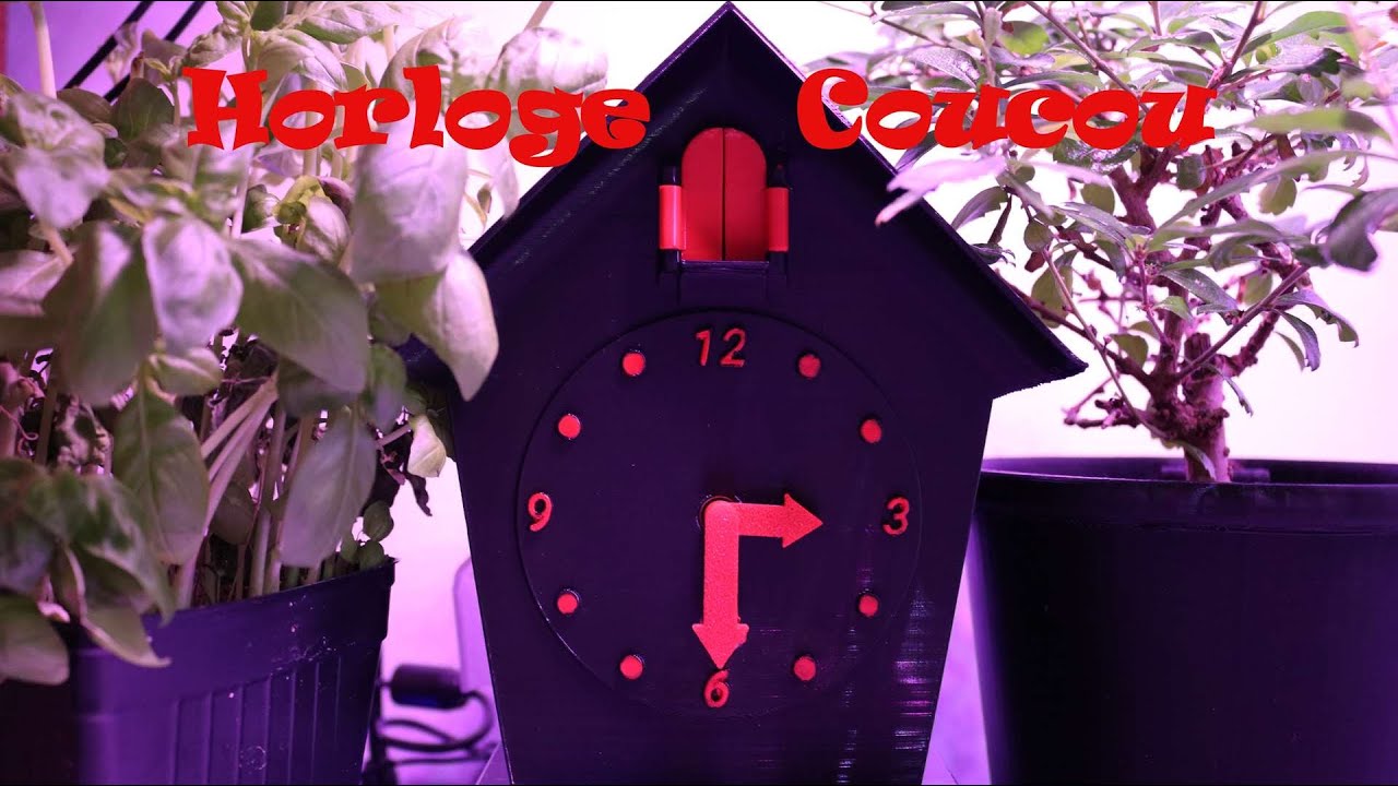 Horloge Coucou