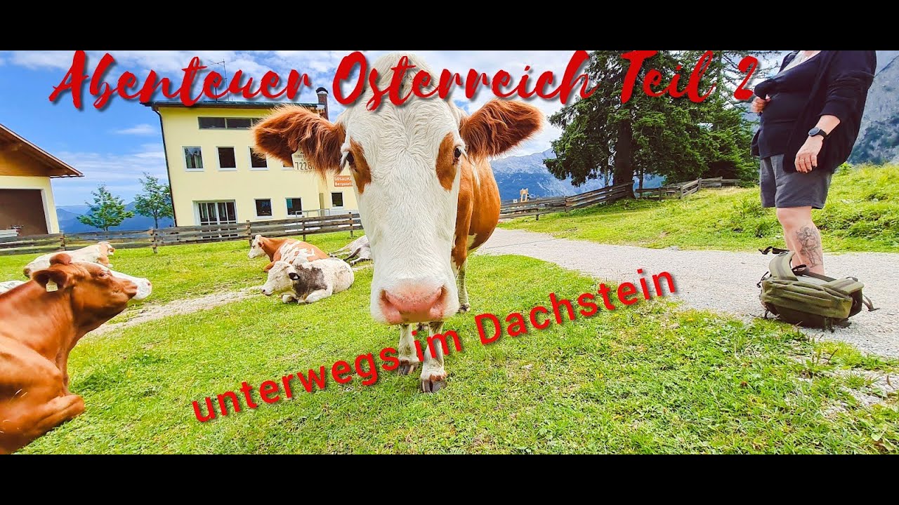 Abenteuer Österreich Teil2🇦🇹2021 #Dachstein West# Gosausee #Rundwanderung 😅