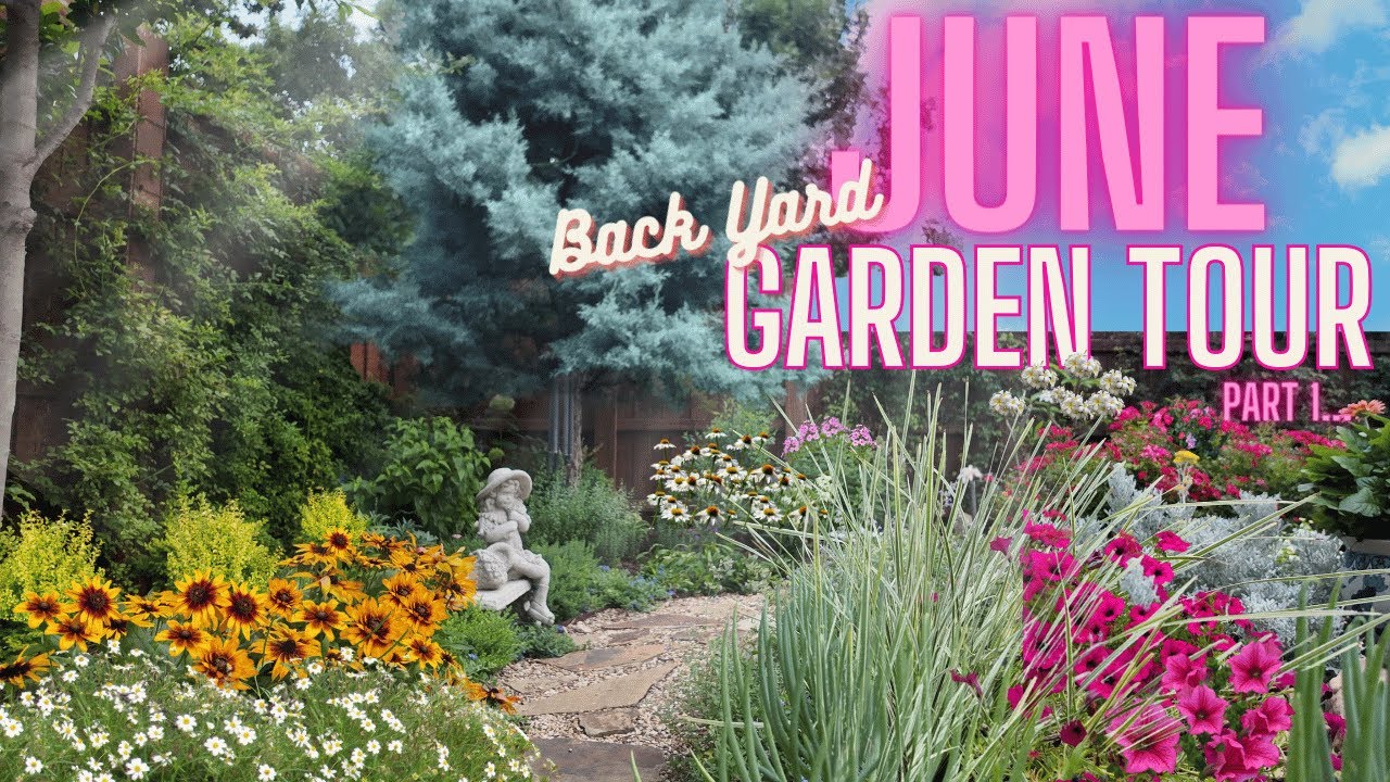 Texas Garden Tour Part 1 June '24! | Gardening in Texas Heat | North Texas Garden Tour