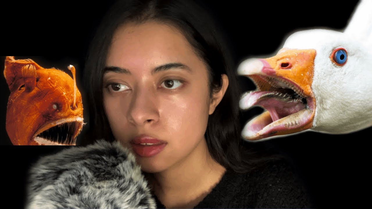 ASMR disturbing animal facts