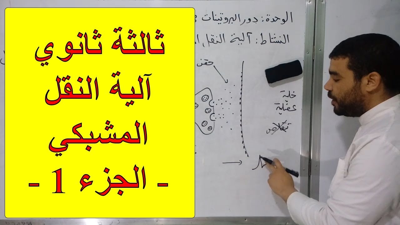 آلية النقل المشبكي (الجزء 1) وفق تدرج سبتمبر 2019