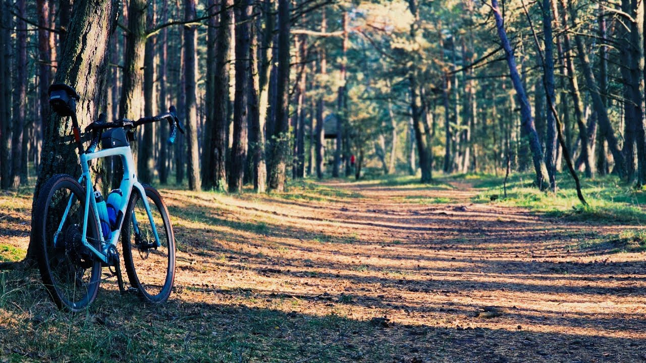 Wyspa Sobieszewska (Las Sobieszewski) - jesienna przejażdżka rowerem gravel #sobieszewo #las #gravel
