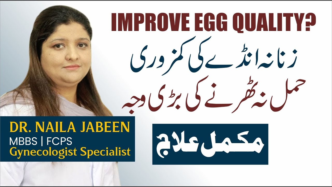 Improve Egg Quality For Pregnancy | Poor Egg Quality Treatment | Egg Quality Kaise Improve Kare Urdu
