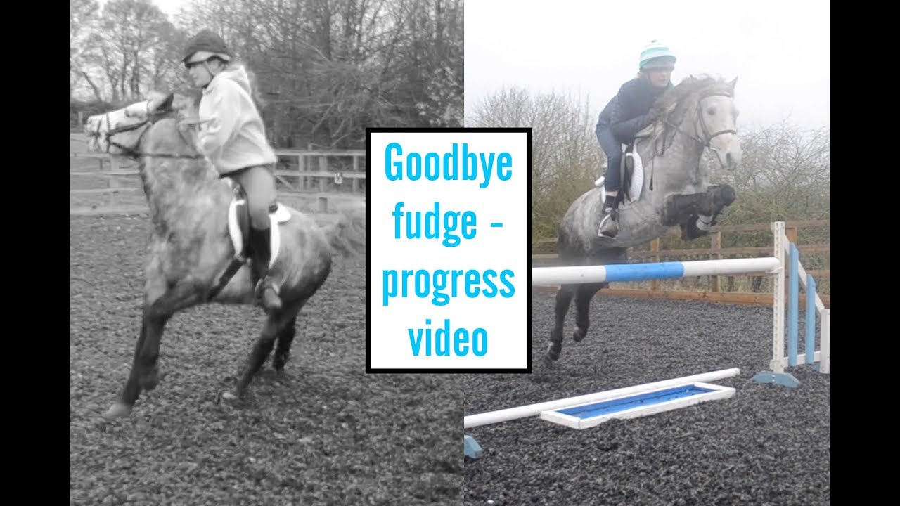 Goodbye fudge // Progress video