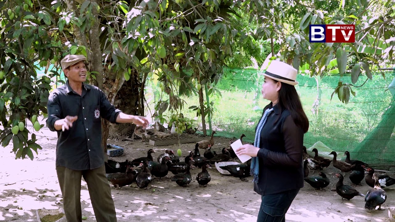Cambodia Feed The Chicken Farm Part8