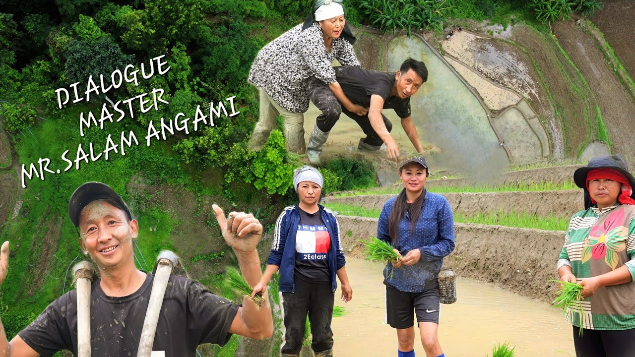 Sowing of seeds in paddy field turned into fun and laughter.🤣🤣