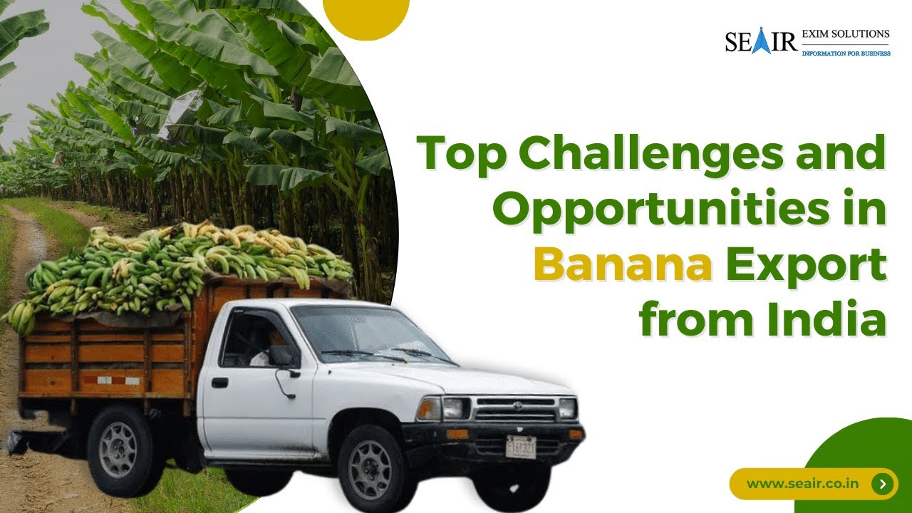 Top Challenges and Opportunities in Banana Exports from India