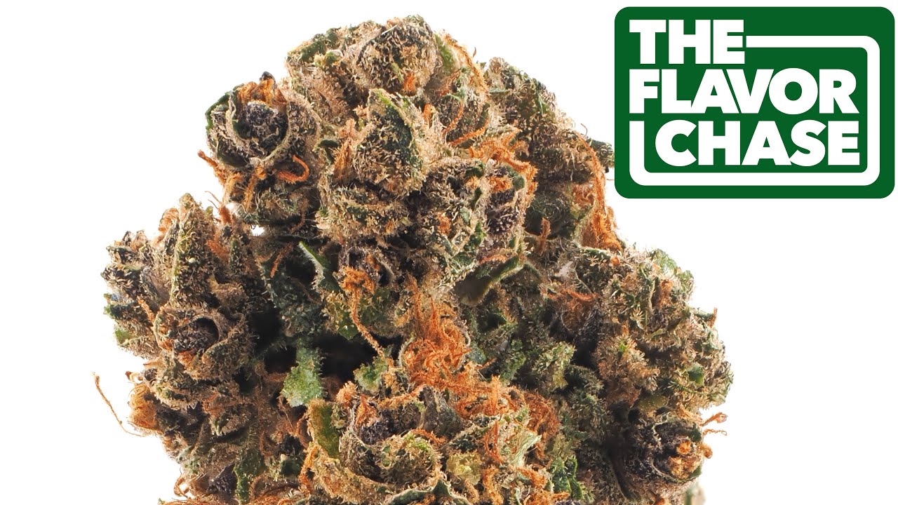 The Flavor Chase | 25 | Hemp Flower Review | Grape Soda by Stoney Branch