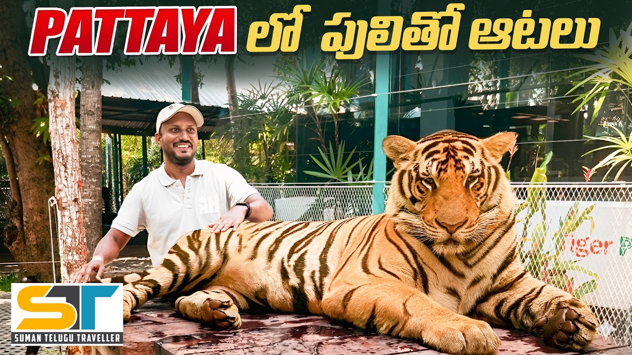 Tiger Park Pattaya Thailand Full Tour Video | Timings Entry Tickets | Suman Telugu Traveller