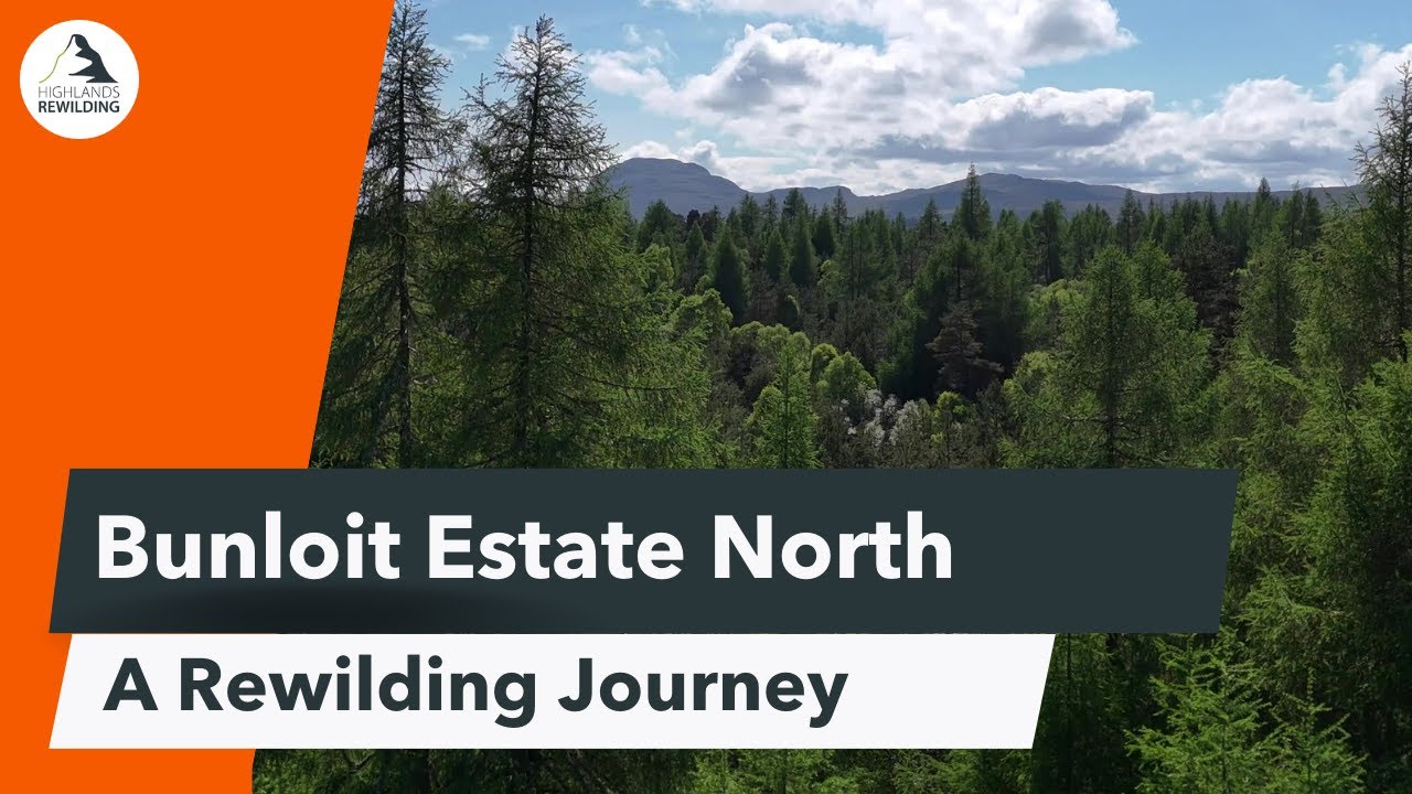 North Bunloit Rewilding Journey