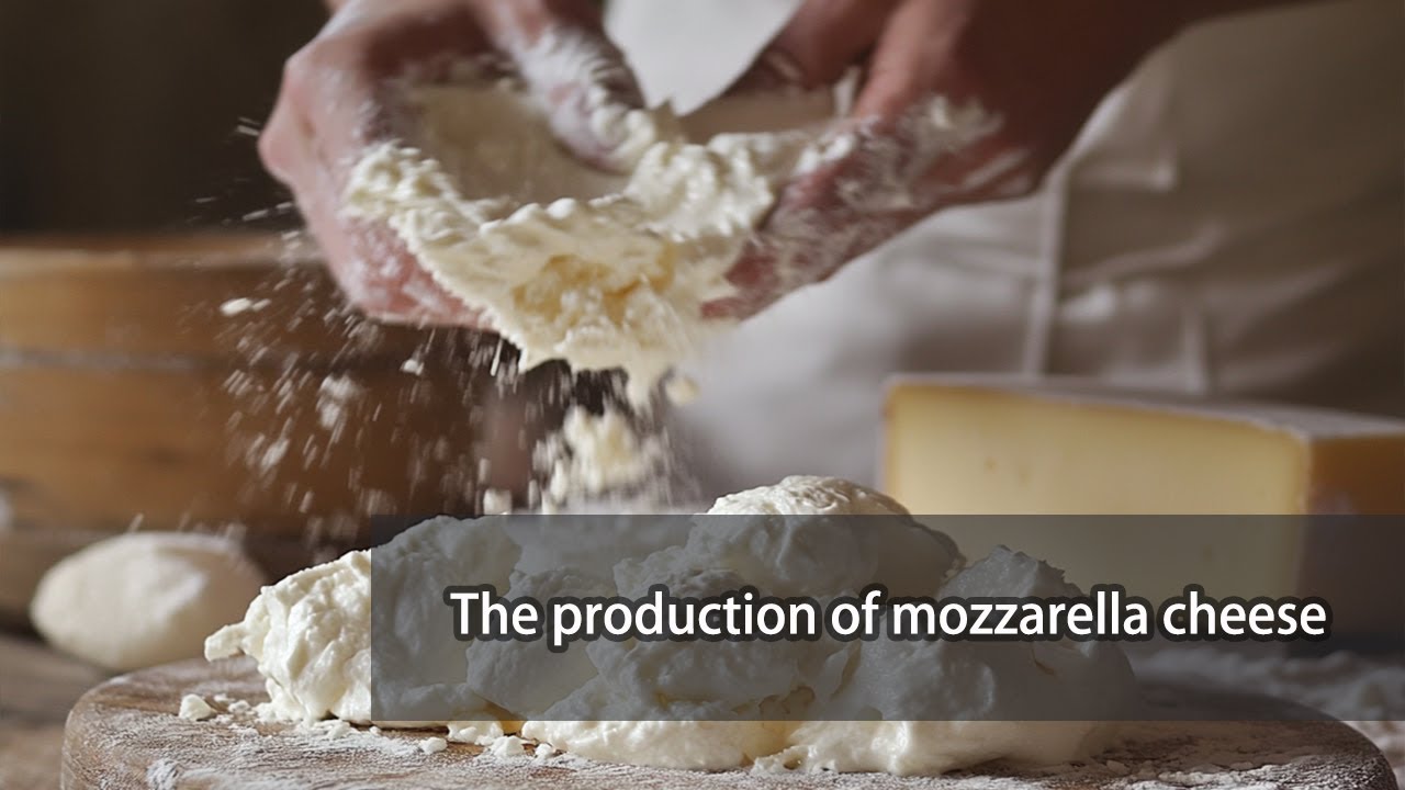 The Magic of Mozzarella: How Fresh Cheese Is Made