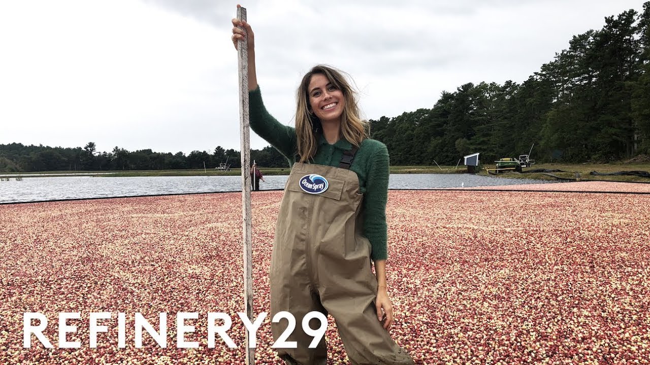 I Worked As A Cranberry Farmer For A Day | Lucie For Hire | Refinery29
