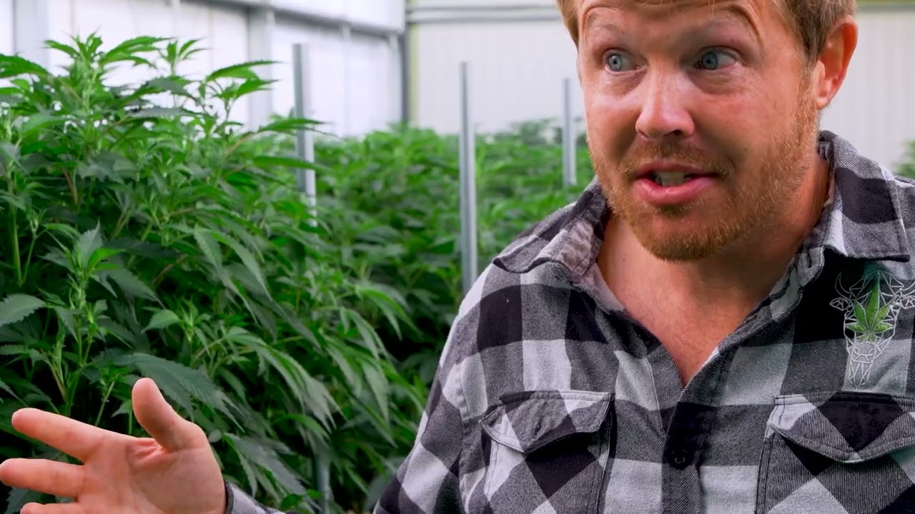 Inside Collective Elevation | Cannacribs Facility Tour + Conference Announcement